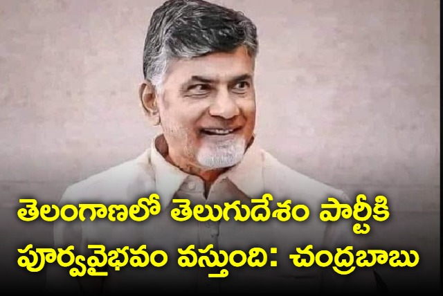 Chandrababu says TDP will win telangana in coming years