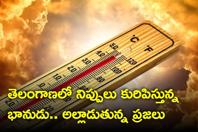 Highest Temperature Recorded In Telangana Districts