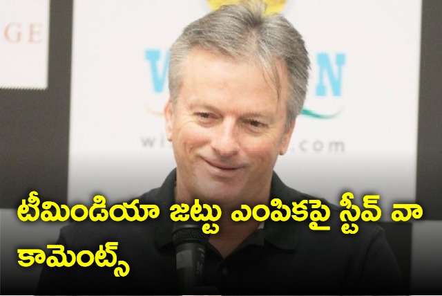 Steve Waugh comments on Team India selection