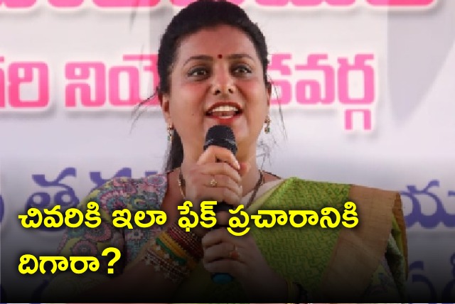 Roja reacts to TDP criticism 