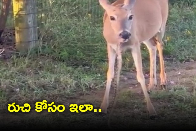 Deer hunts chomps a snake Netizens call it scary