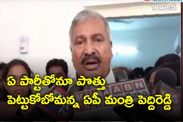 No need for alliance we will fight alone in assembly elections says ycp leader peddi reddy