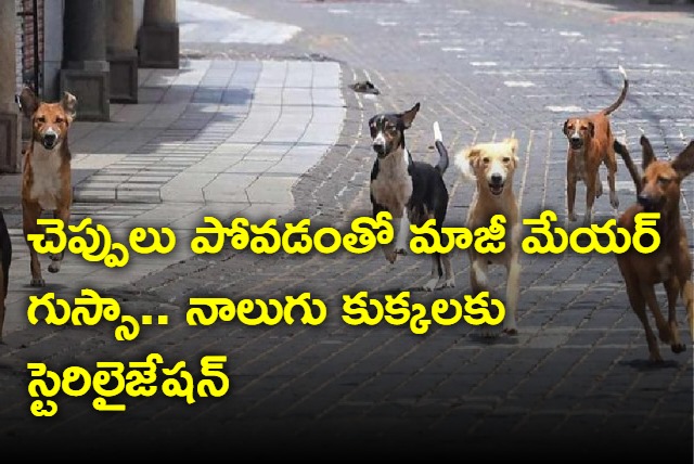 Four dogs sterilized in Aurangabad after they allegedly steal former mayors shoes