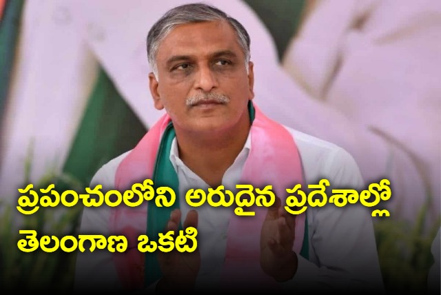 Telangana is one of the rare places in the world where Infrastructure grows so does the Green cover admits Harish rao