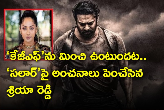 sriya reddy comments on prabhas salaar movie