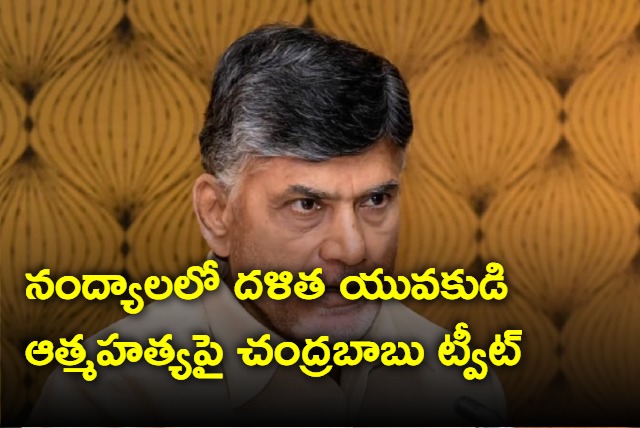 tdp chief chandrababu naidu tweets on nandyala incident