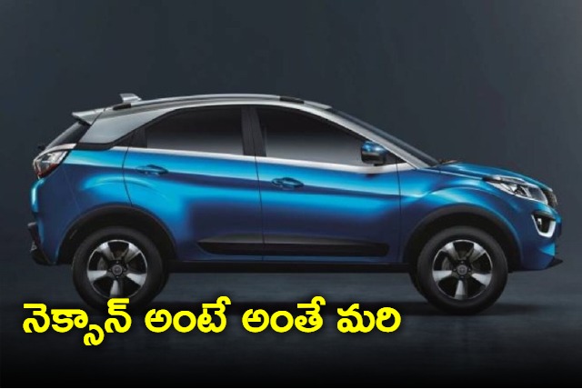 Tata Nexon hits bull at very speed but bull survived