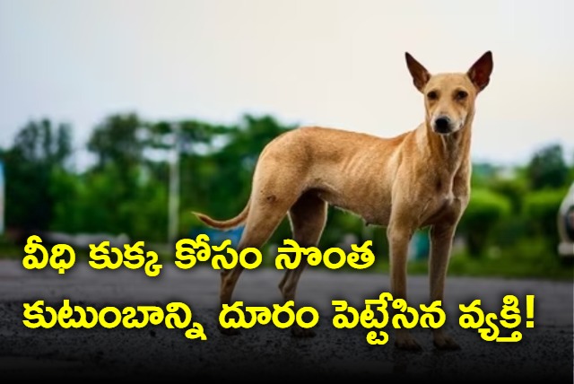 Tamilnadu man leaves family for dog