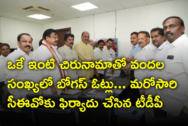 TDP leaders met AP CEO and complains against bogus votes 