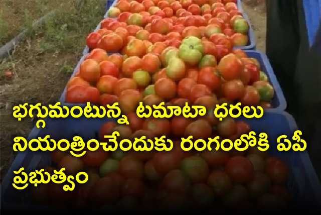 Tomato prices raises high in AP