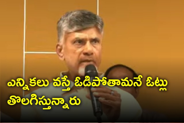 Chandrababu held meeting with TDP senior leaders 