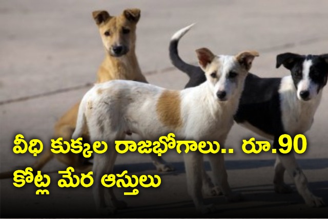 Villagers in gujarat set up trust in the name of street dogs transfer rs 90 crore worth of assets 