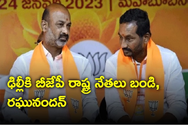 Bandi Sanjay and Raghunandan Rao meet BJP High command may be for central cabinet expansion