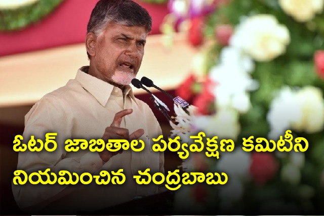 Chandrababu appoints new committee to supervise voter lists 