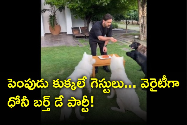 Dhoni birthday party with pets 