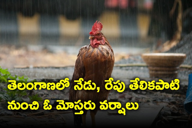 Moderate Rains Expected Today And Tomorrow In Telangana