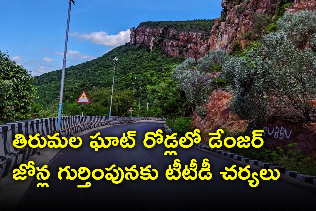 TTD decides to identify danger zones on Tirumala ghat roads