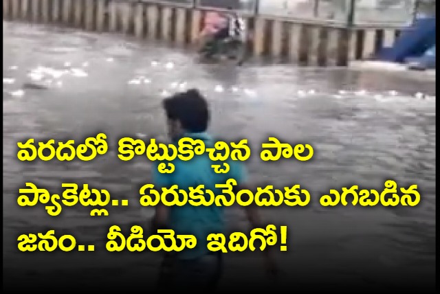 People wade in knee deep water for floating milk packets in Machilipatnam