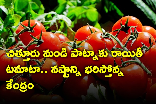 Govts Discount Sale Of Tomatoes Starts In Delhi NCR Patna