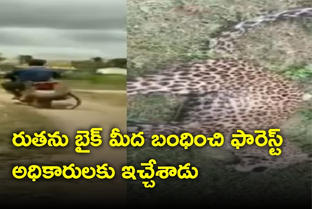 Karnataka man ties leopard to bike with rope rides to forest department