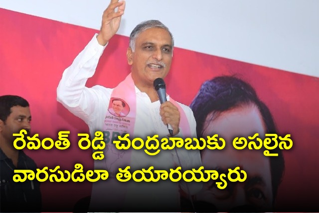 Harish Rao reacts to Revanth Reddy remarks 