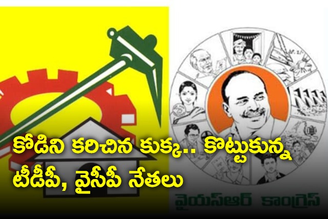 TDP and YSRCP leaders fight amid dog bytes hen