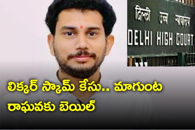 Deli High Court Sanctioned Bail to Magunta Raghava