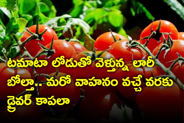 Lorry carrying tomatoes overturned in Hanumakonda District