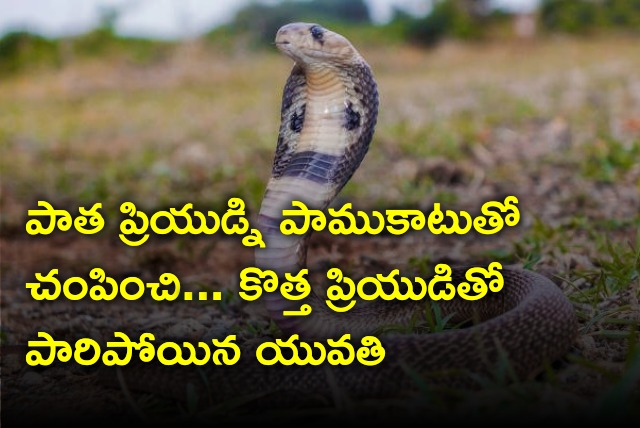 Woman killed lover with snake bite and eloped with new lover 