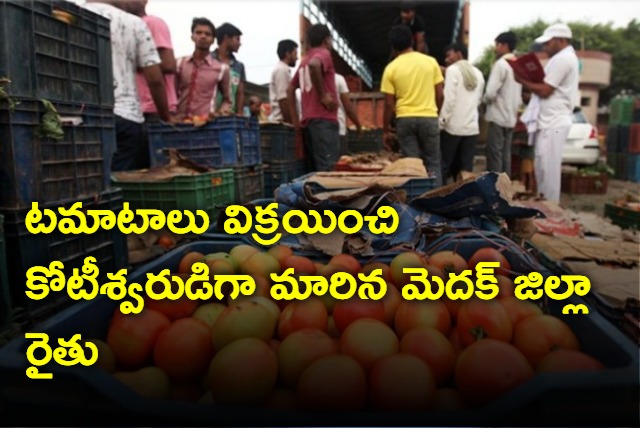 Farmer turns crorepathi by selling tomatoes