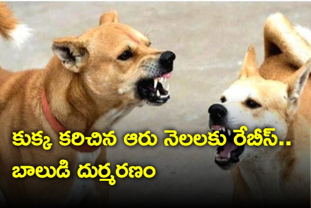 17 year old boy from Kakinada dies from rabies six months after dog bite