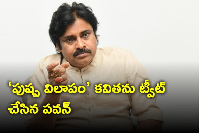 Even trees are lamenting under YCP rule setires Pawan kalyan