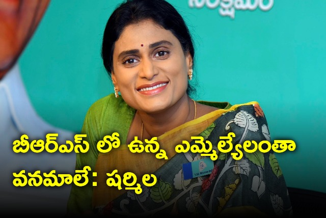 All MLAs of BRS ARE Vanamas says YS Sharmila