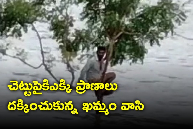 Telangana man stranded on tree for hours amid heavy flood water