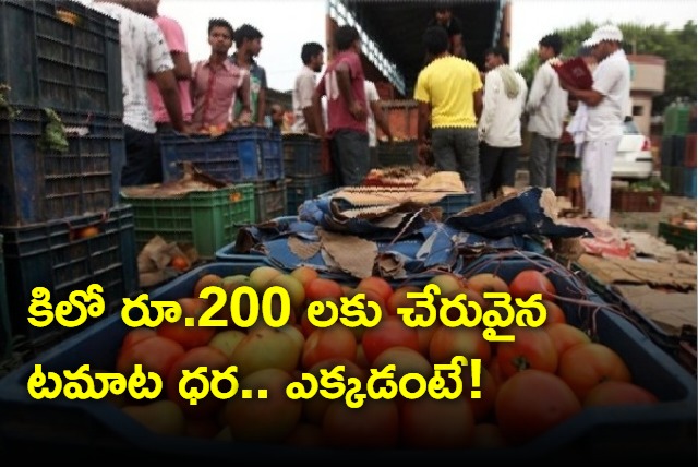 Record price for tomatoes in madanapalle market