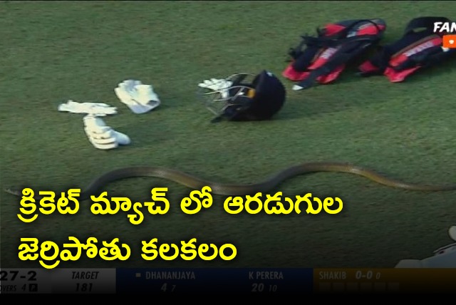 Rat Snake enters into stadium while match was going 