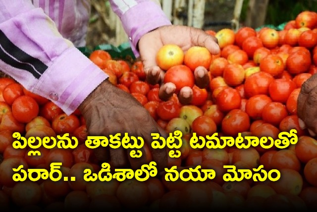 Odisha Man fleds with Tomatoes Without Paying after leaves children at shop