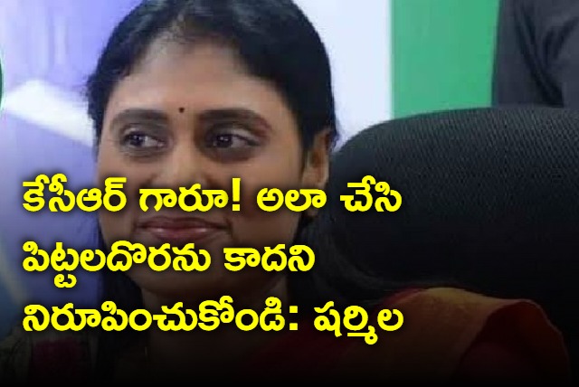 YS Sharmila hot comments on KCR