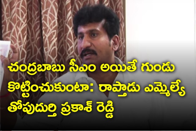 ysrcp mla thopudurthi prakash reddy fires chandrababu