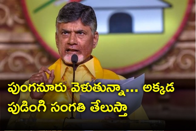 Chandrababu furious on YCP leaders 