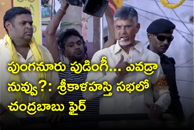 Chandrababu fires on YCP leaders in Srikalahasti 