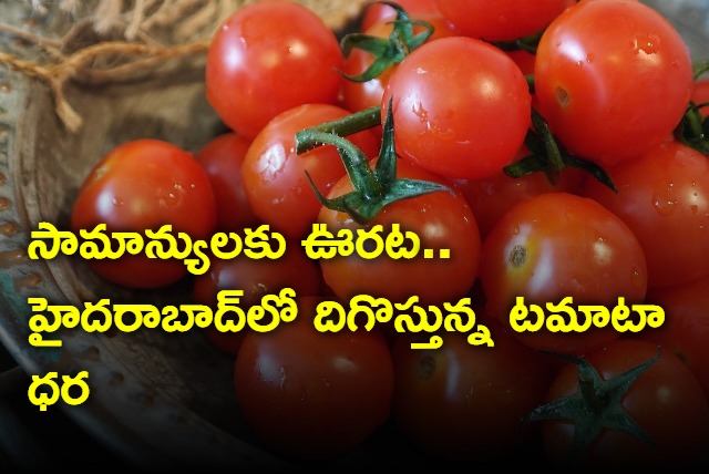 Tomato Price In Hyderabad Coming Down