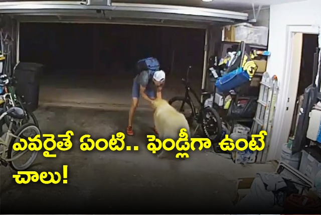 Thief befriends dog to steal RS lakh worth of bike