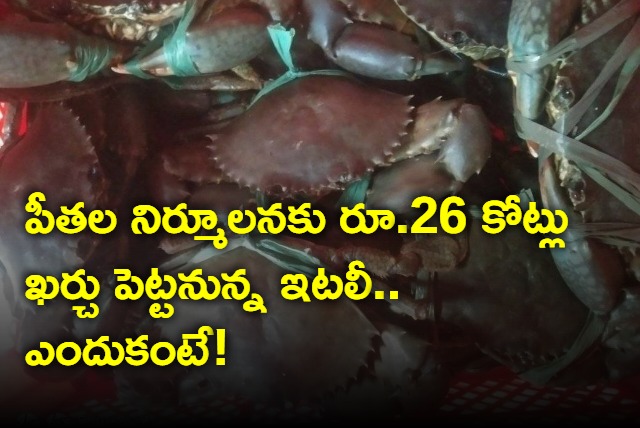 Italy to spend 26 crores to tackle invasion of aggressive blue crabs