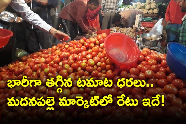 tomato prices have gone down in madanapalle market