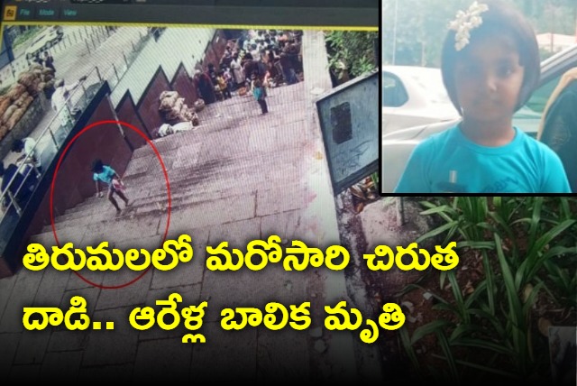 six year old kid dies in leopard attack in Tirumala alipiri 