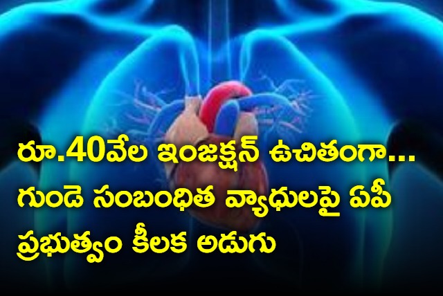 AP Government special focus on heart treatment