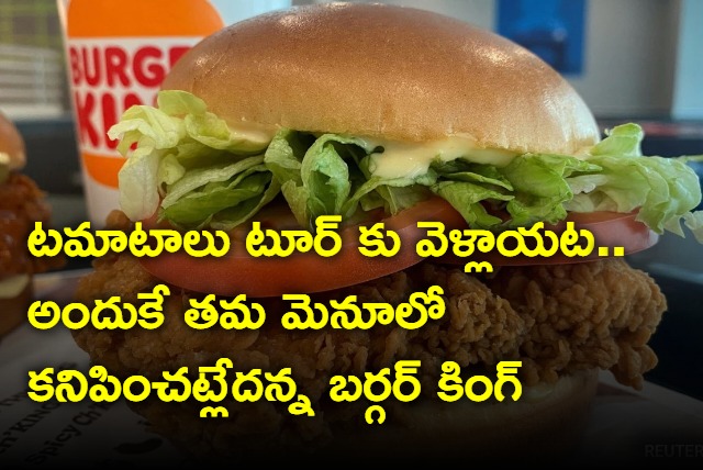 Tomatoes On Vacation As India Battles Food Inflation says Burger King