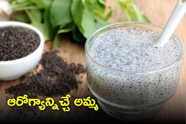 health benefits of basil seeds