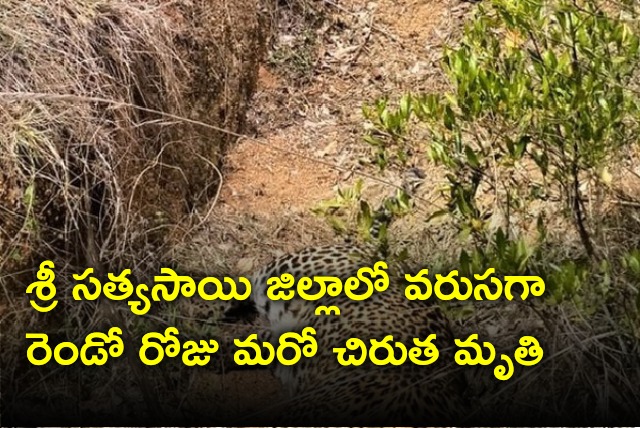 Another Leopard died in Sri Sathyasai district 